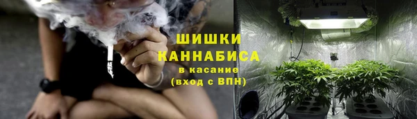 стаф Нефтекумск