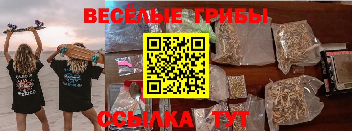 купить закладку  Вход с VPN  Чита  Галлюциногенные грибы ЛСД 